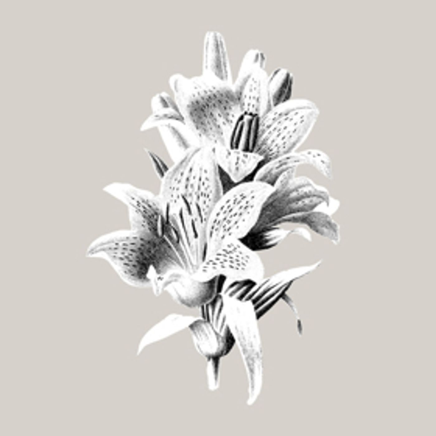 Sannhet Announces 'Short Life' 7 Inch and East Coast Tour Dates Sannhet Announces 'Short Life' 7 Inch and East Coast Tour Dates Image