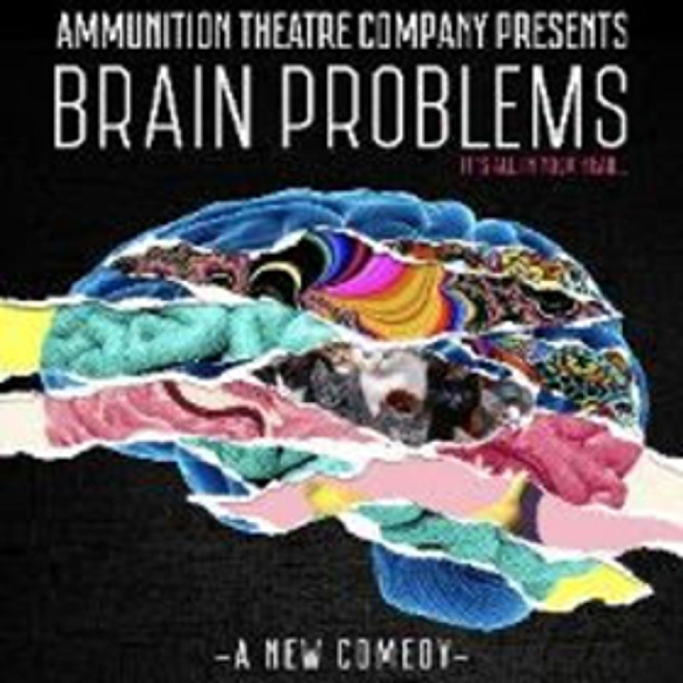 Ammunition Theatre Company Presents BRAIN PROBLEMS  Image