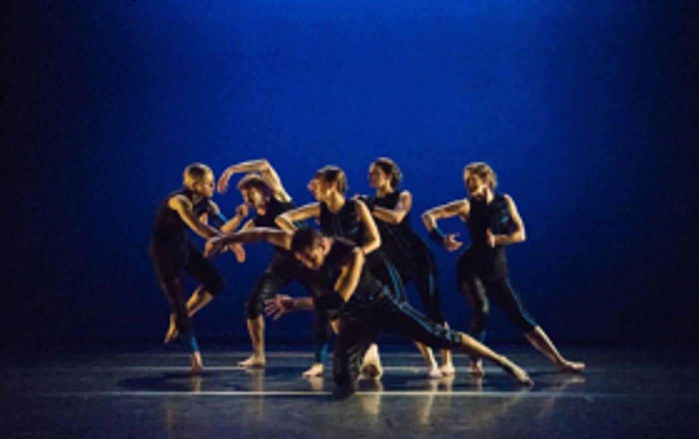 The SEATTLE INTERNATIONAL DANCE FESTIVAL Returns This June  Image