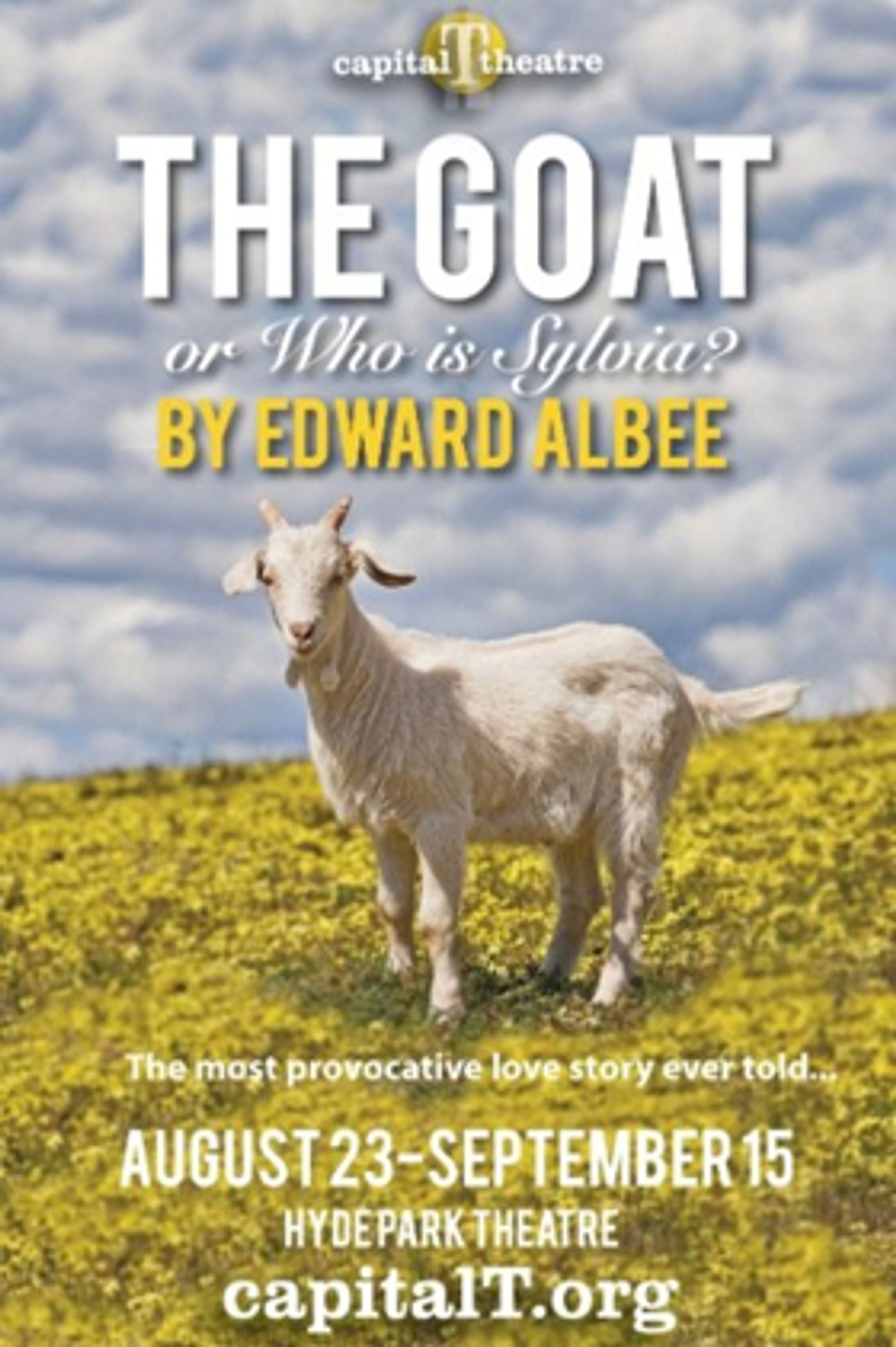 Review: Rebecca Robinson Delivers Remarkable Performance in Albee's THE GOAT  Image