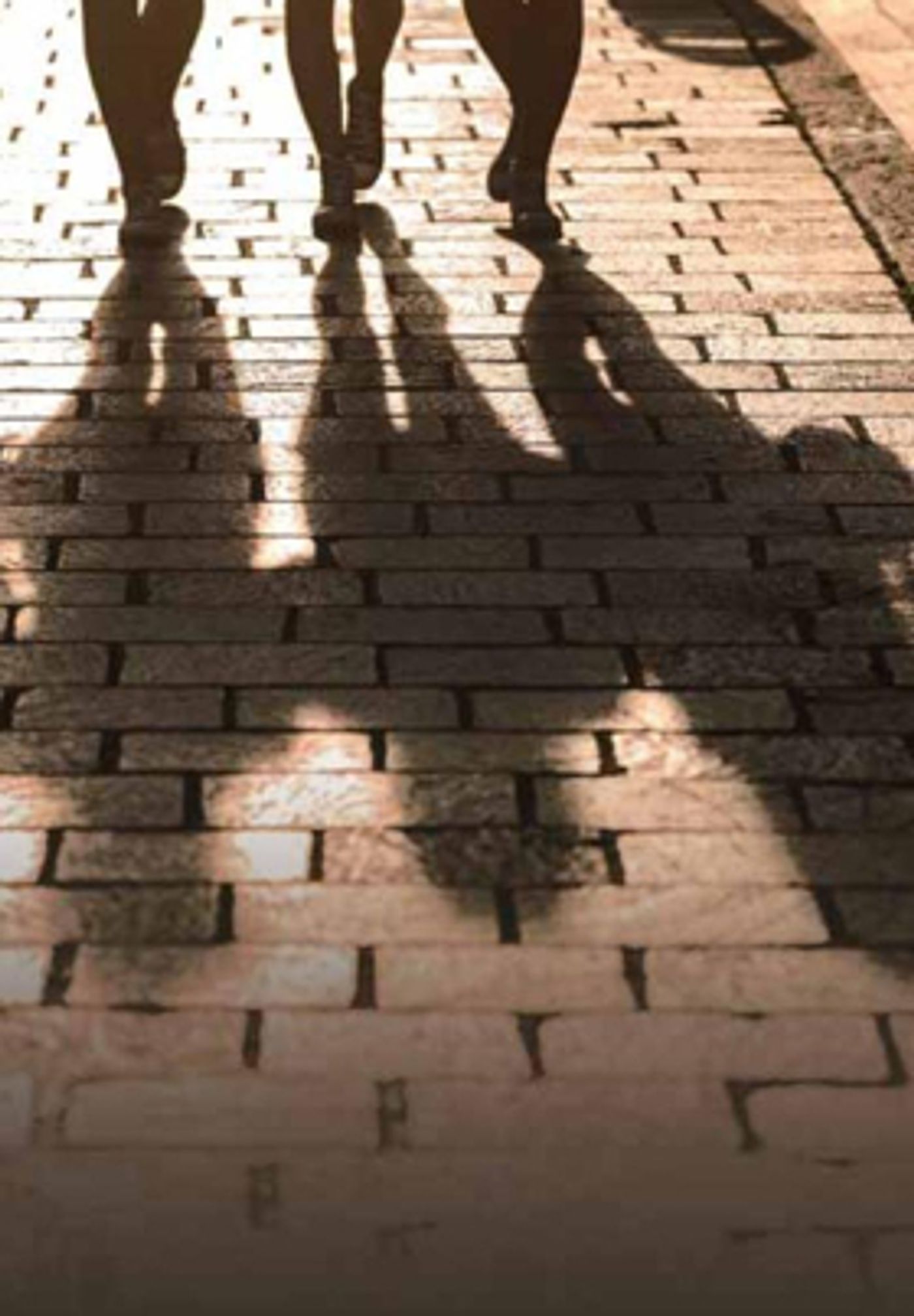 Firehall Arts Centre to Produce and Present the Canadian Premiere of Patricia Cornelius' SHIT Firehall Arts Centre to Produce and Present the Canadian Premiere of Patricia Cornelius' SHIT Image