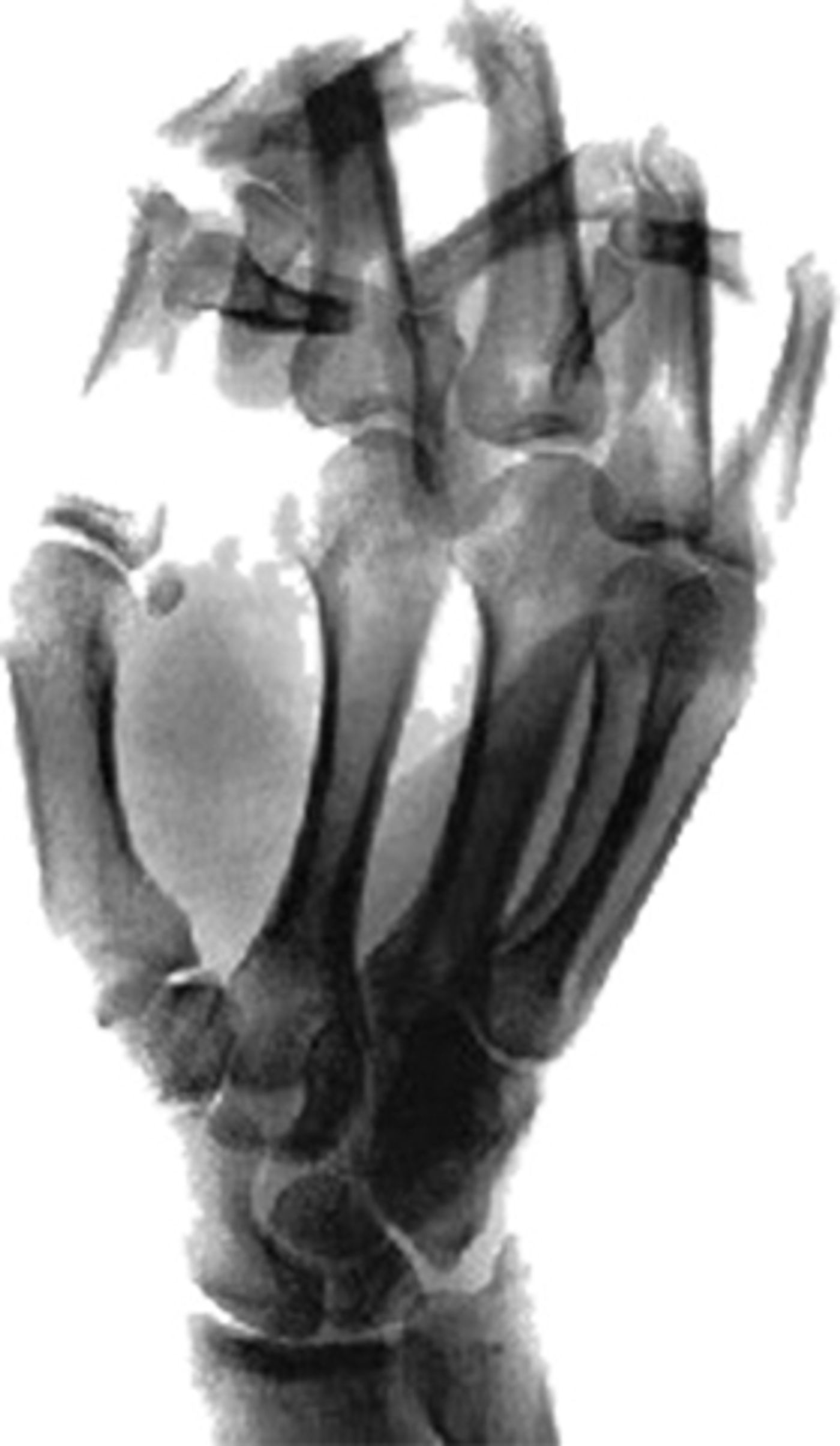 Krautrock Legends faUSt to Tour North America Summer 2018!  Image