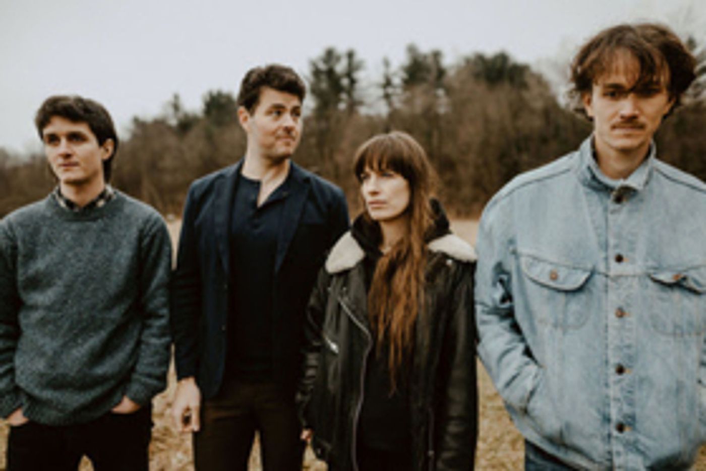 The Felice Brothers Release POOR BLIND BIRDS From First Album in Three Years  Image