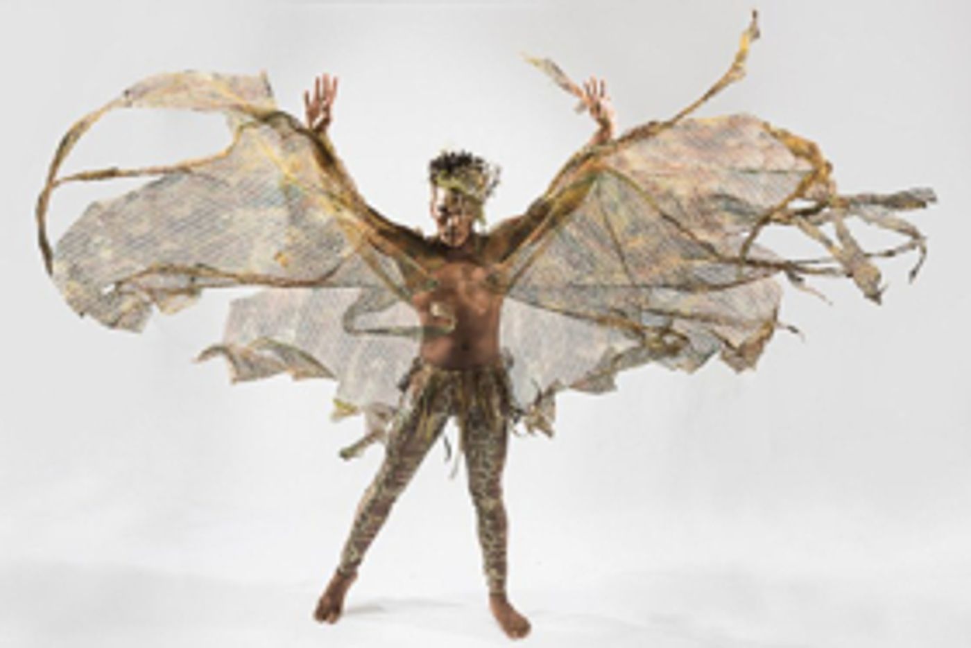 Deeply Rooted Returns to North Shore Center with LOOKING TO THE FUTURE Deeply Rooted Returns to North Shore Center with LOOKING TO THE FUTURE Image