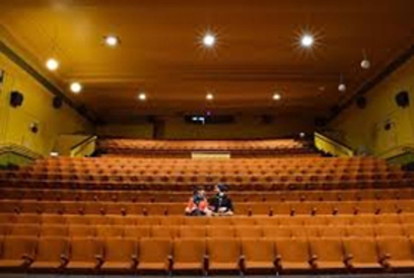 THE UNITY IN COMMUNITY THEATRE at Community Theatre
The Southern Region of New Zealand  Image