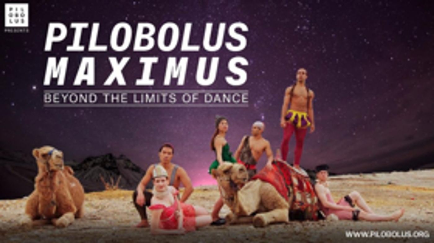 The Lisa Smith Wengler Center for the Arts presents PILOBOLUS The Lisa Smith Wengler Center for the Arts presents PILOBOLUS Image