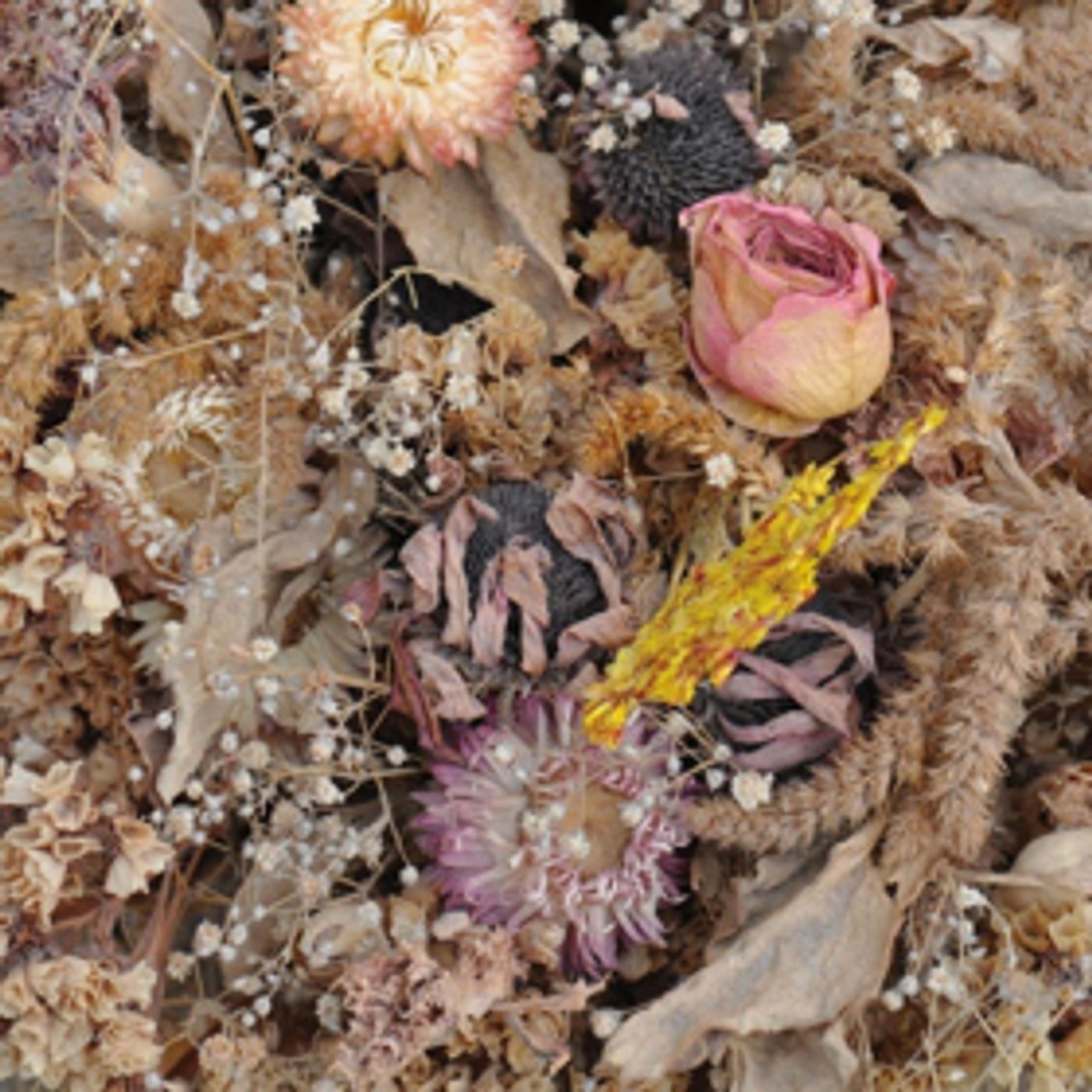 Slowcore Torchbearer Drowse Announce New Album  Image