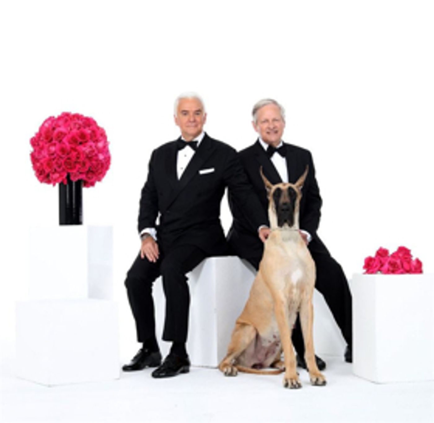 NBC's BEVERLY HILLS DOG SHOW to Air Easter Sunday NBC's BEVERLY HILLS DOG SHOW to Air Easter Sunday Image