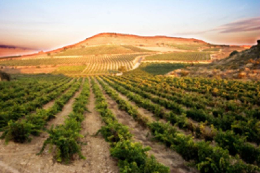 BODEGAS RAMON BALBOA-Fine Spanish Wines Image