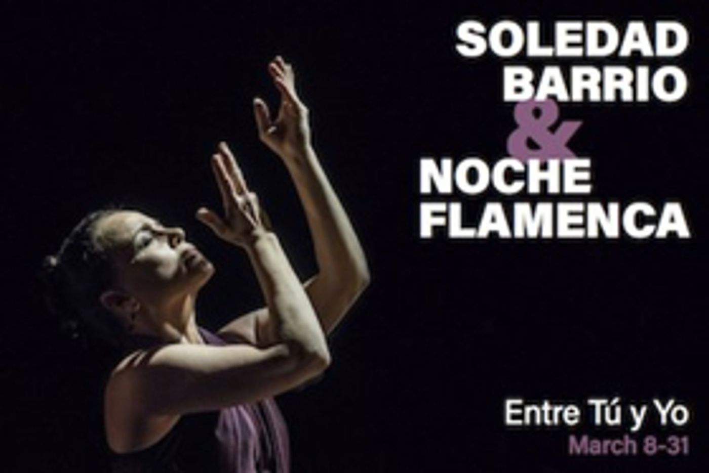 Noche Flamenca Adds New Works to ENTRE TU Y YO  Image