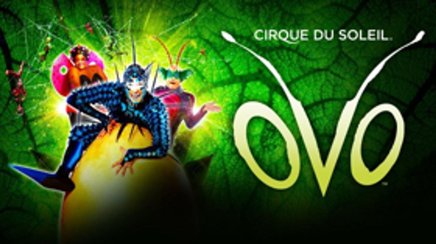 CIRQUE DU SOLEIL's OVO Says Goodbye To London Sunday, March 4 CIRQUE DU SOLEIL's OVO Says Goodbye To London Sunday, March 4 Image