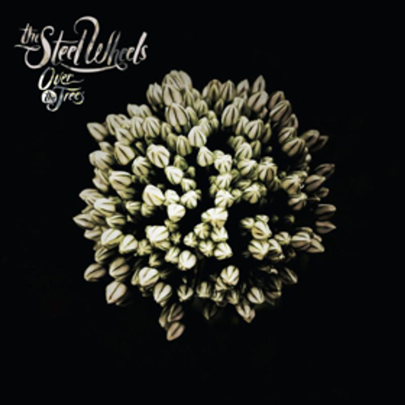 The Steel Wheels Announce 7th Album 'Over The Trees'  Image