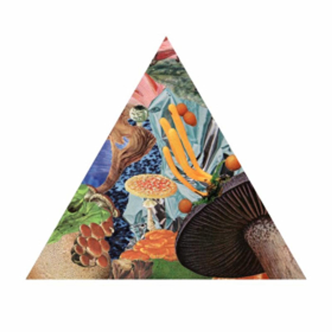 Modest Mouse Share POISON THE WELL  Image