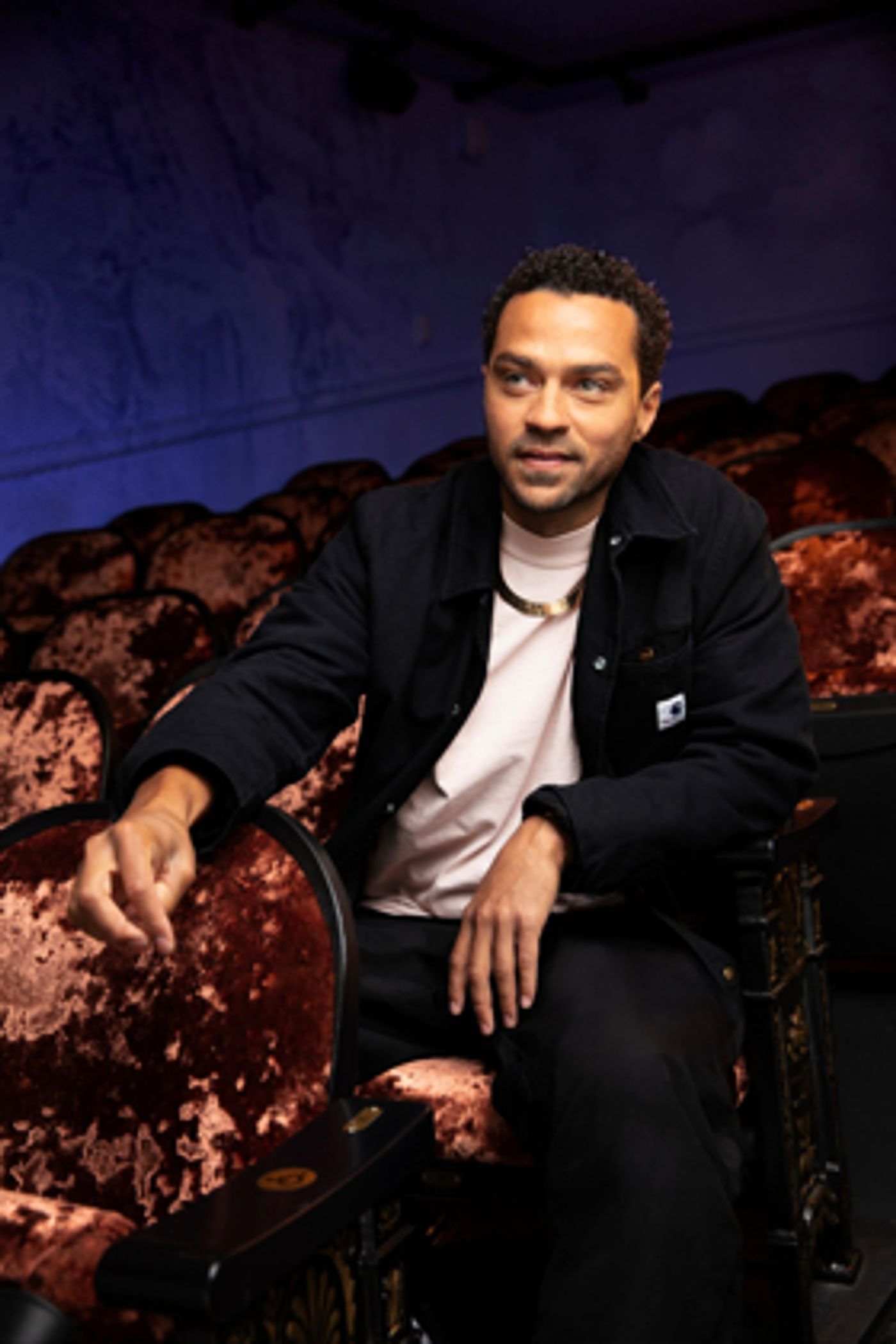 Breaking: GREY'S ANATOMY Star Jesse Williams Will Make Broadway Debut in TAKE ME OUT  Image