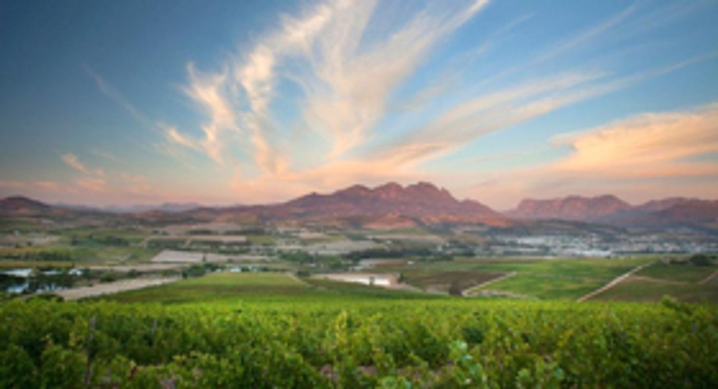 Interview: Meet Steve Kreps Sr. of QUINTESSENTIAL WINES  Image