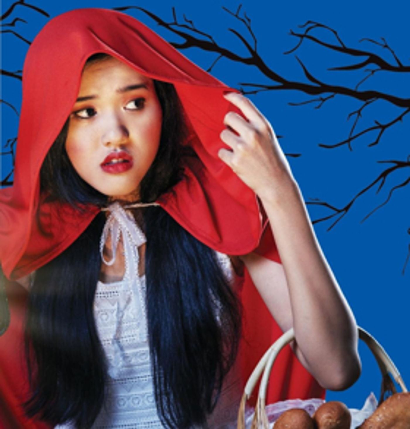INTO THE WOODS Opens Next Week at Music Theater Works  Image