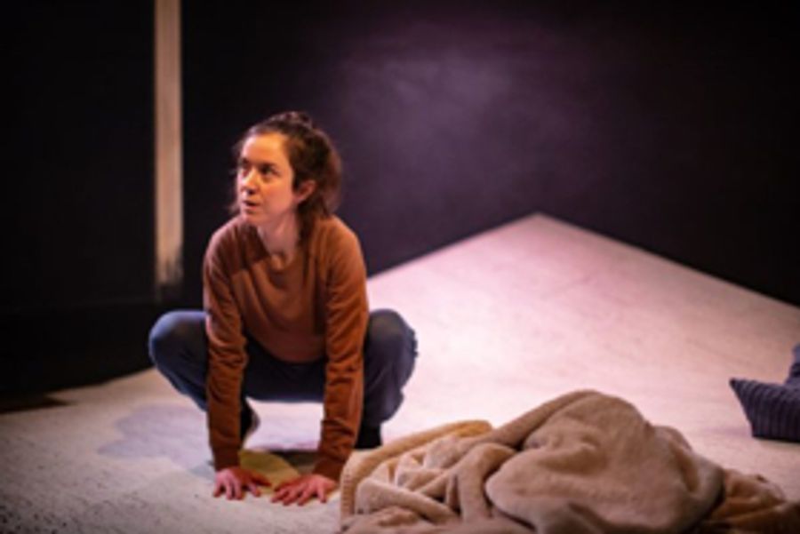 Review: THE NOISES, The Old Red Lion Theatre Image