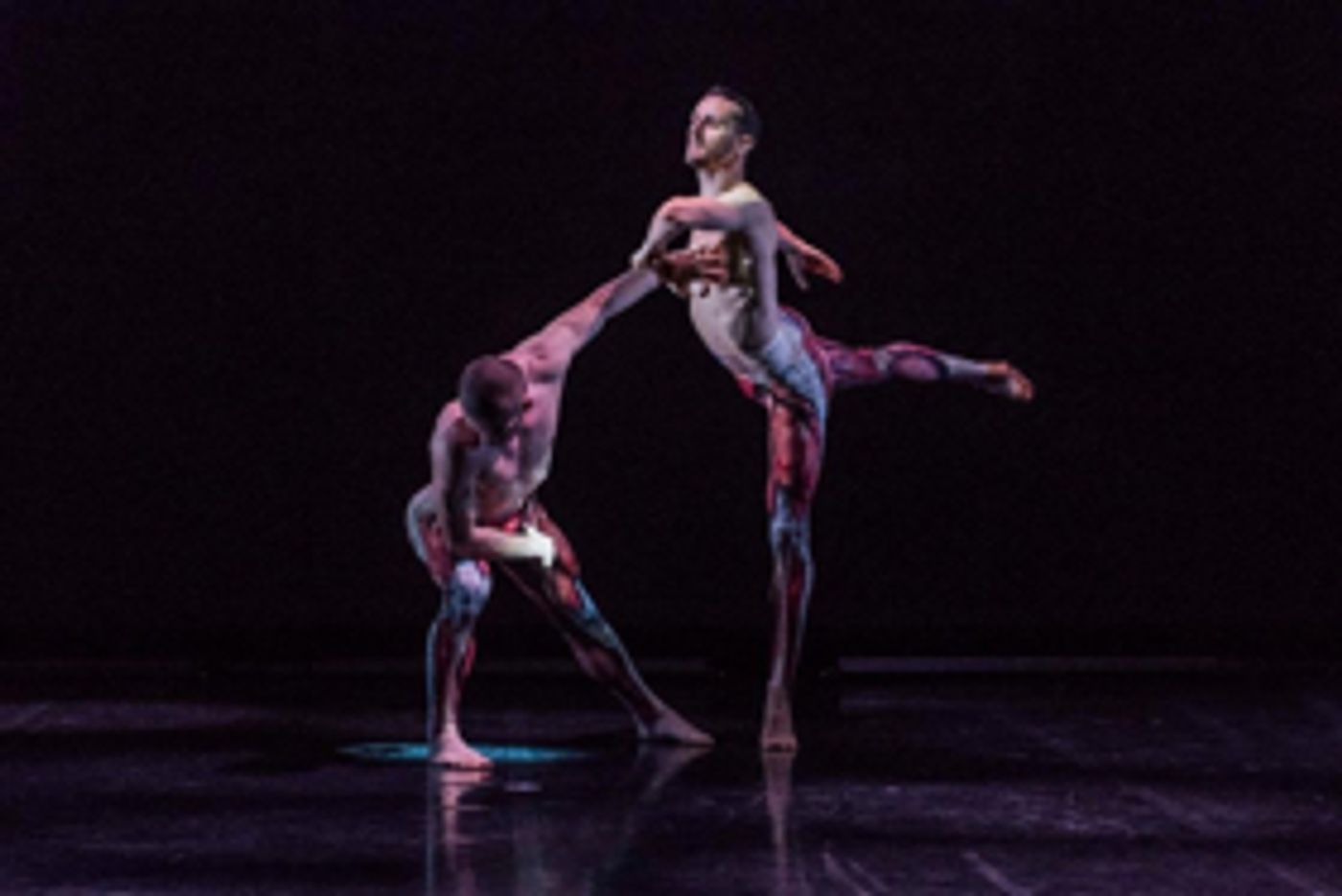 Balletboyz To Make Wolverhampton Debut In May  Image