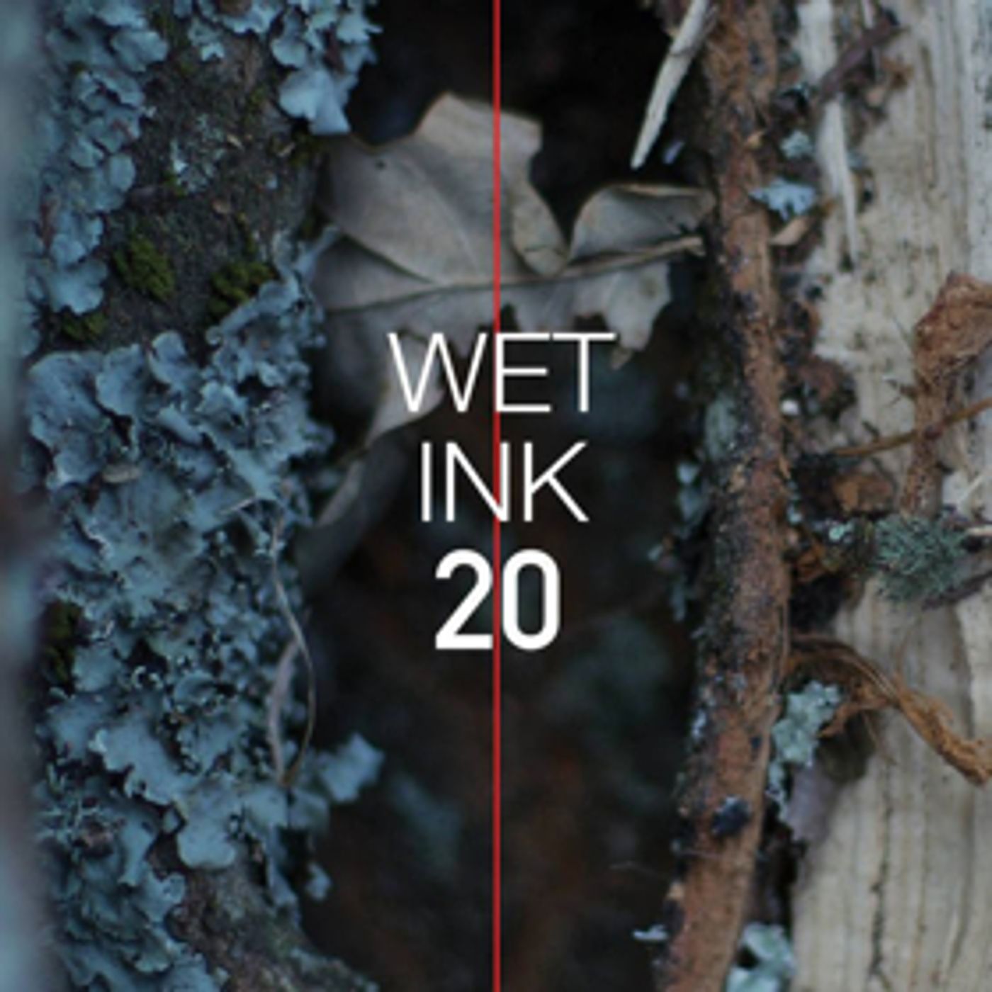 Wet Ink Ensemble Releases Wet Ink: 20, Album Celebrating 20th Anniversary, On Carrier Records  Image