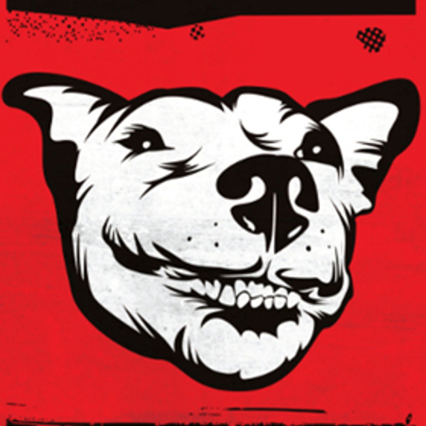 STOF Comes to Alexander Upstairs STOF Comes to Alexander Upstairs Image