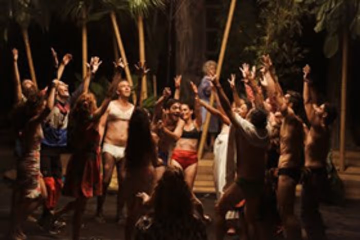 THE BIRDS Directed By Nikos Karathanos, Comes To St. Ann's Warehouse THE BIRDS Directed By Nikos Karathanos, Comes To St. Ann's Warehouse Image