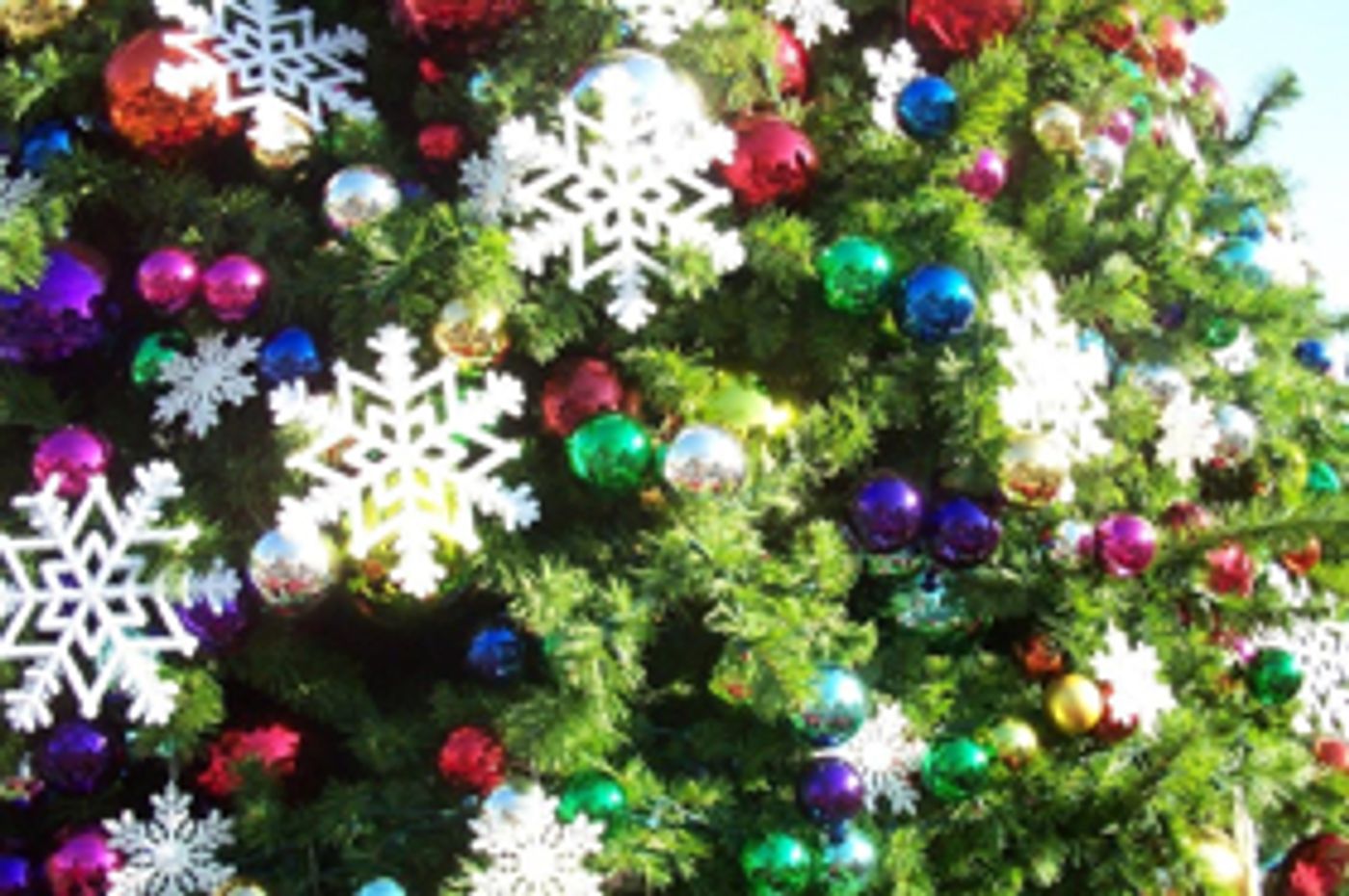 Celebrate and Dine on CHRISTMAS in NYC Celebrate and Dine on CHRISTMAS in NYC Image