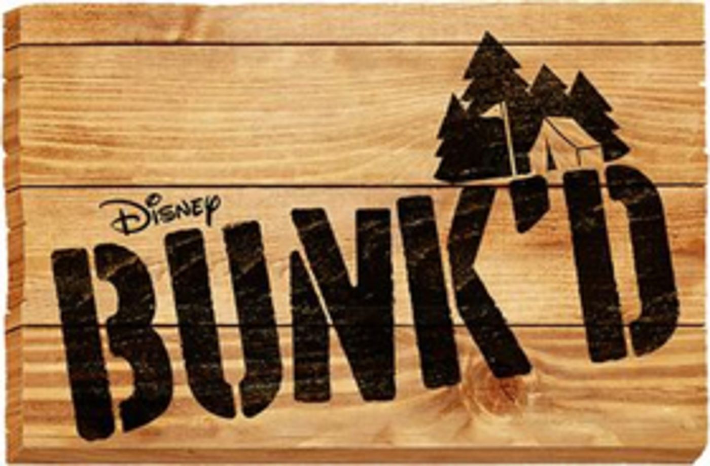 Disney Channel's BUNK'D Adds Three New Cast Members  Image