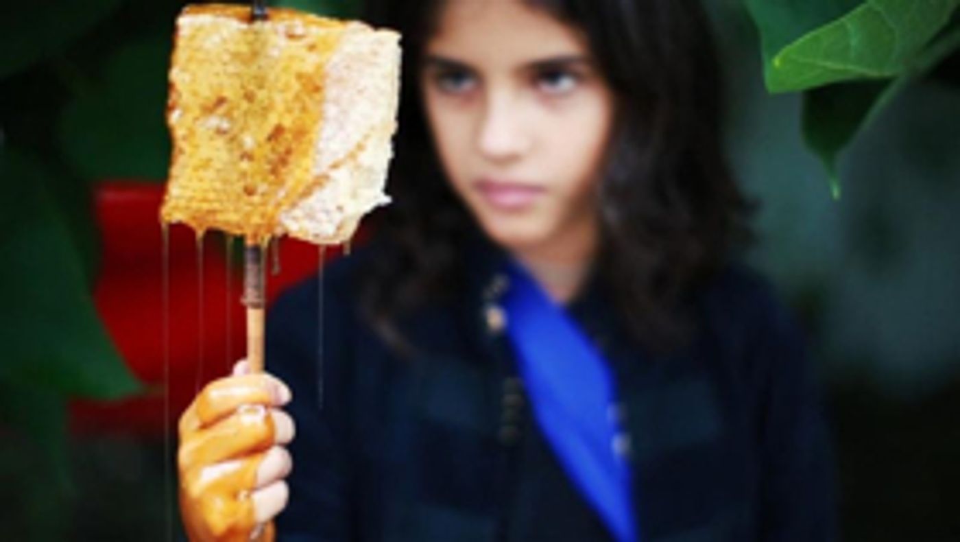 Satellite Collective Announces ECHO & NARCISSUS Satellite Collective Announces ECHO & NARCISSUS Image