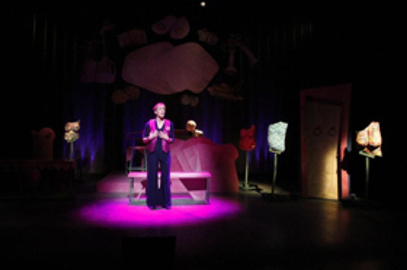 Review: Phoenix Theatre Presents Sally Jo Bannow's THE BOOB SHOW  Image