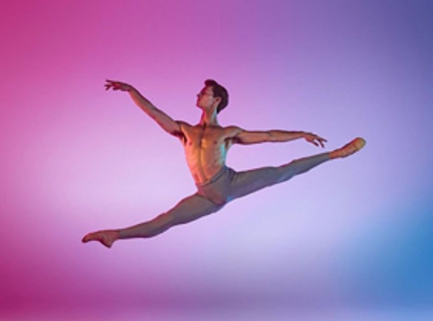 Vote For Your Favourite Dancer In The Telstra Ballet Dancer Award  Image