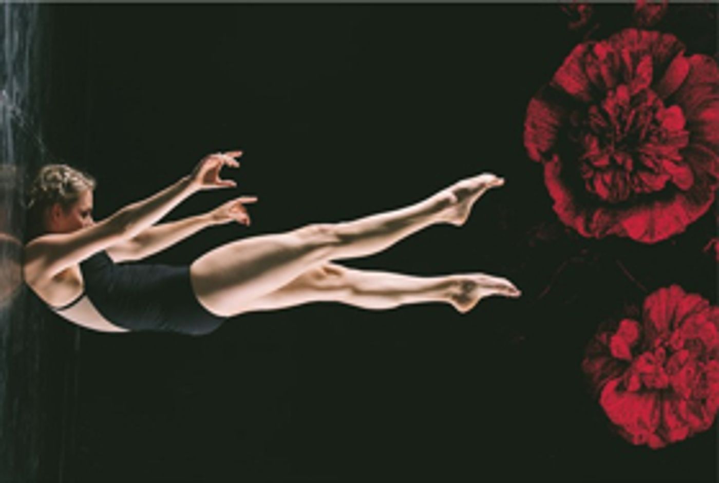 Review: The Australian Brandenburg Orchestra and Circa Deliver Another Brilliant Collaboration of Classical Music and Circus Arts in ENGLISH BAROQUE WITH CIRCA Review: The Australian Brandenburg Orchestra and Circa Deliver Another Brilliant Collaboration of Classical Music and Circus Arts in ENGLISH BAROQUE WITH CIRCA Image