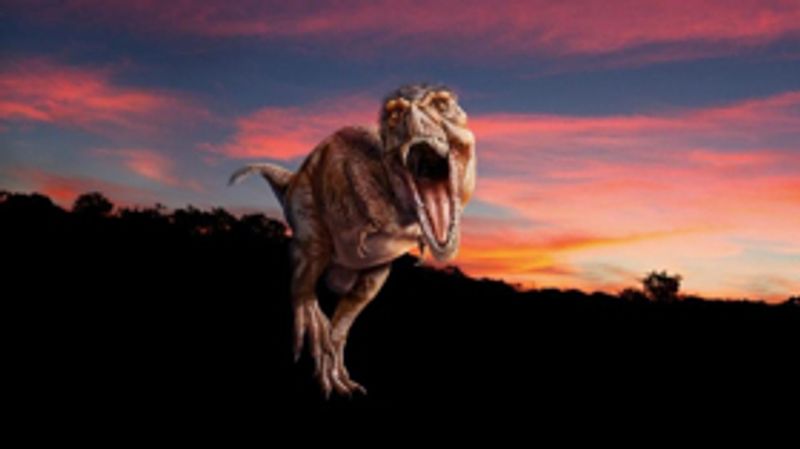 Museum of Natural History Launches New T-Rex Exhibit This Spring Image