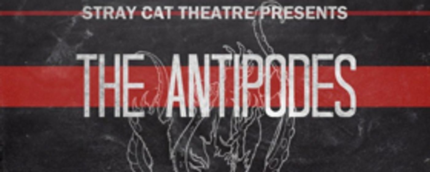 Stray Cat Theatre Presents Annie Baker's THE ANTIPODES  Image