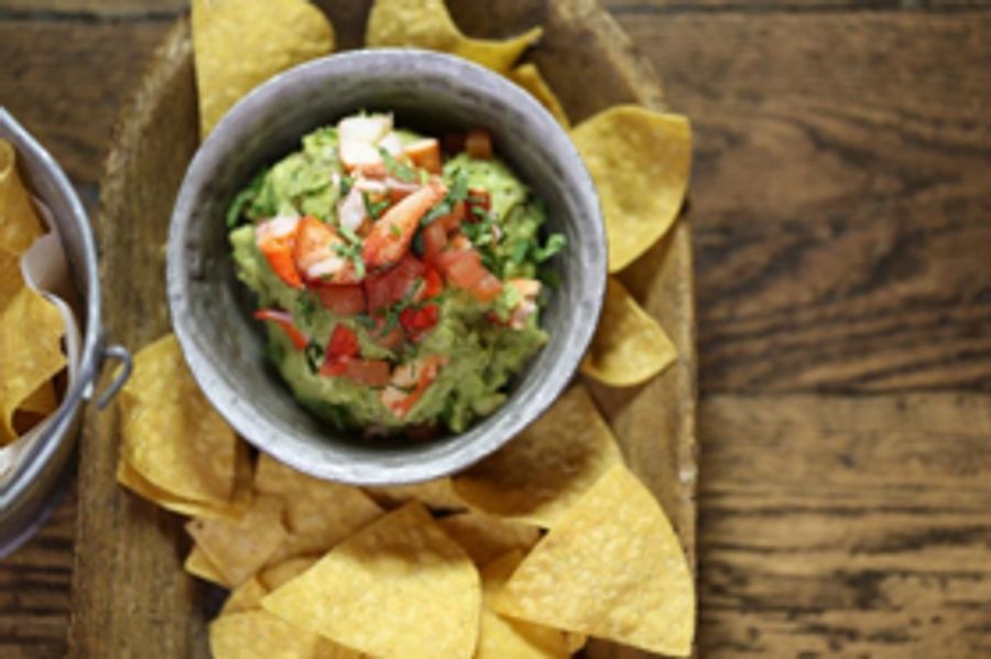 BWW Preview: New Year, New Look for SOLTORO at MOHEGAN SUN Image