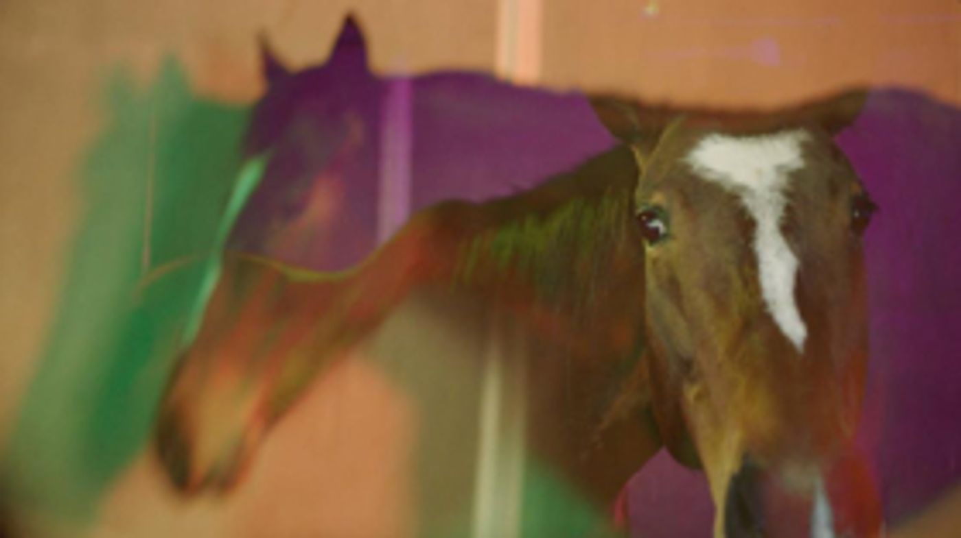 Avey Tare Shares Video for HORS_, Album Out Friday Avey Tare Shares Video for HORS_, Album Out Friday Image