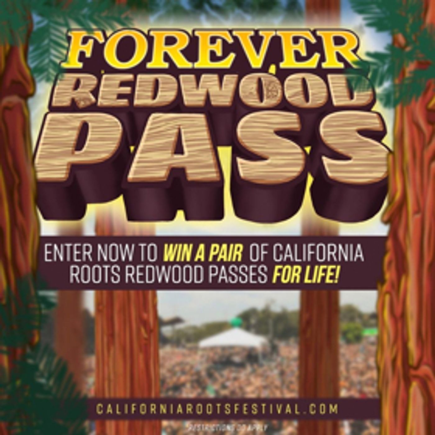 The California Roots Music and Arts Festival Announces the Forever Redwoods Contest The California Roots Music and Arts Festival Announces the Forever Redwoods Contest Image