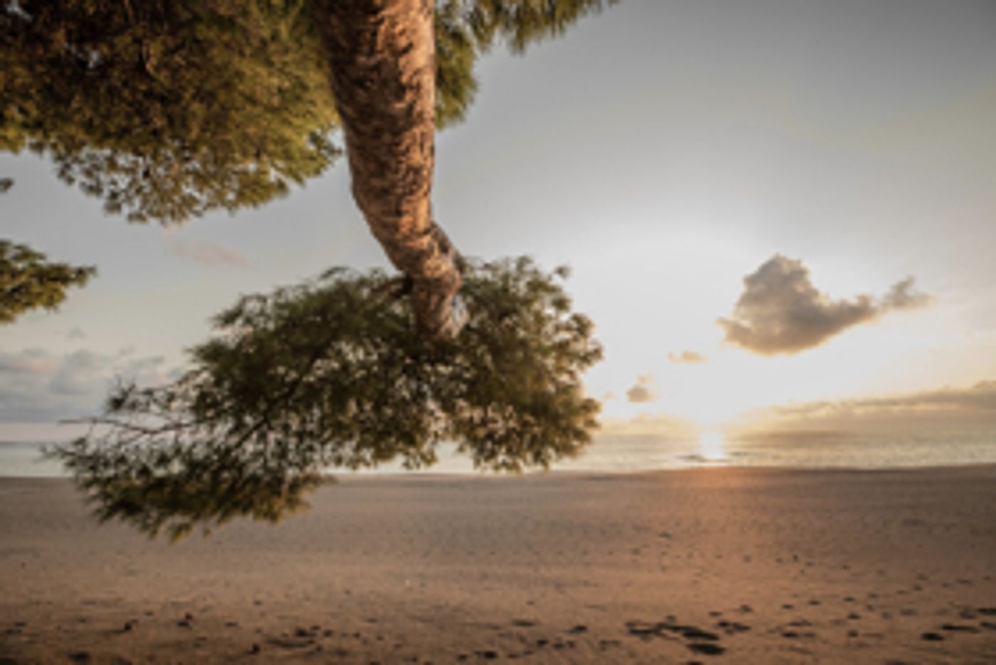 Zip, Craig Richards, Vera, Cap, Raresh, tINI, Joseph Capriati Added to UNUM Festival Lineup  Image