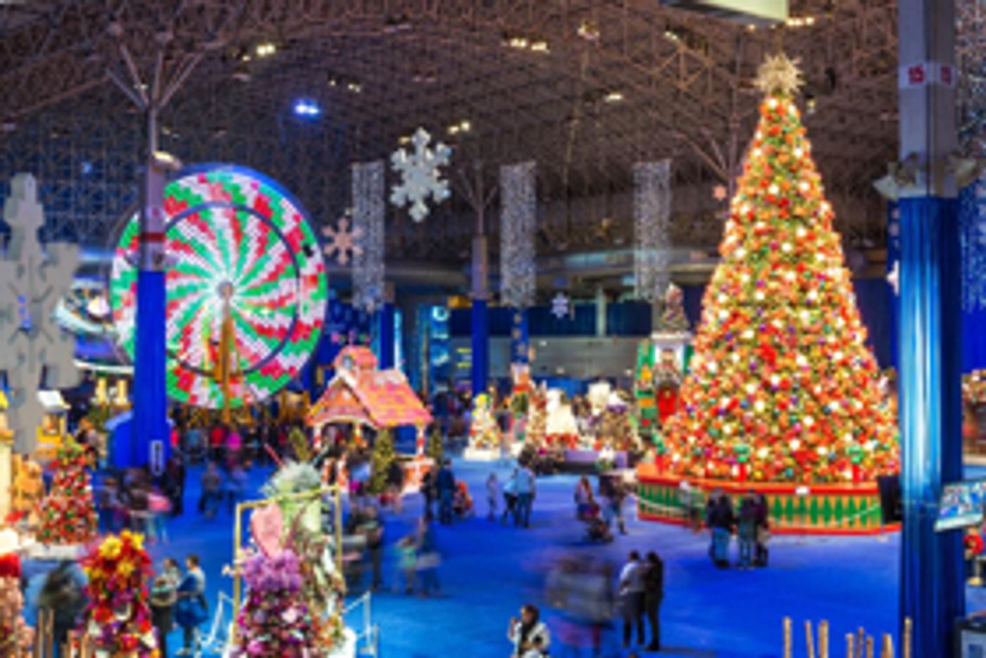 Navy Pier Announces Return of 'Fifth Third Bank Winter WonderFest'  Image
