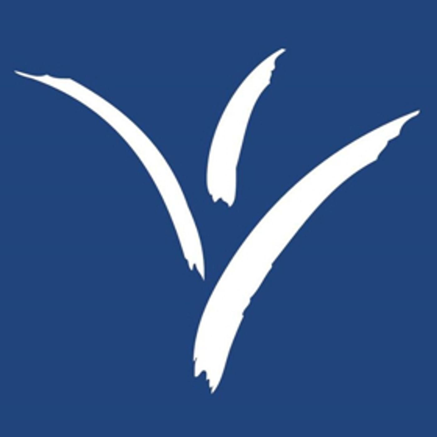 INTERNATIONAL GUITAR NIGHT Returns at Harris Center INTERNATIONAL GUITAR NIGHT Returns at Harris Center Image