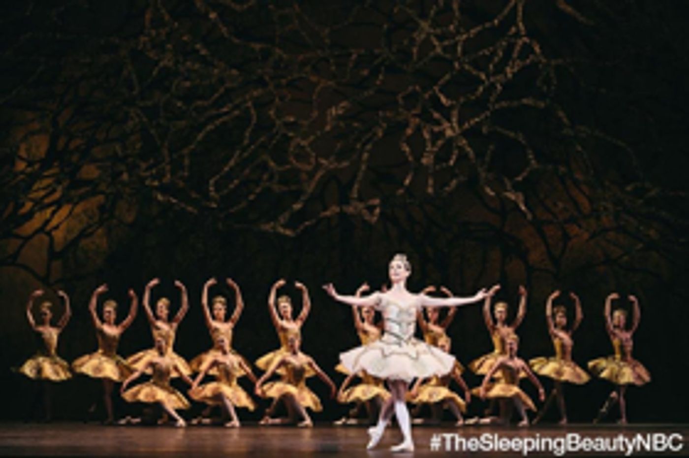 National Ballet of Canada Announces Principal Casting for THE SLEEPING BEAUTY  Image