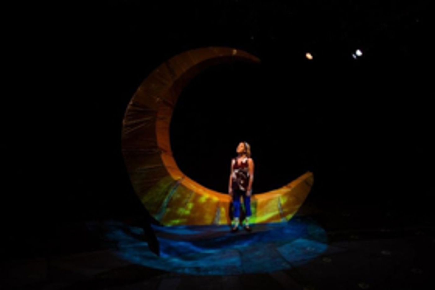 Hudson Stage to Perform a Staged Reading of NO SPRING CHICKEN Hudson Stage to Perform a Staged Reading of NO SPRING CHICKEN Image