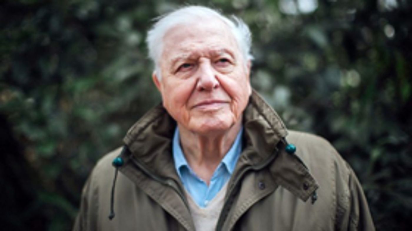 David Attenborough to Present Climate Change Film for BBC One  Image