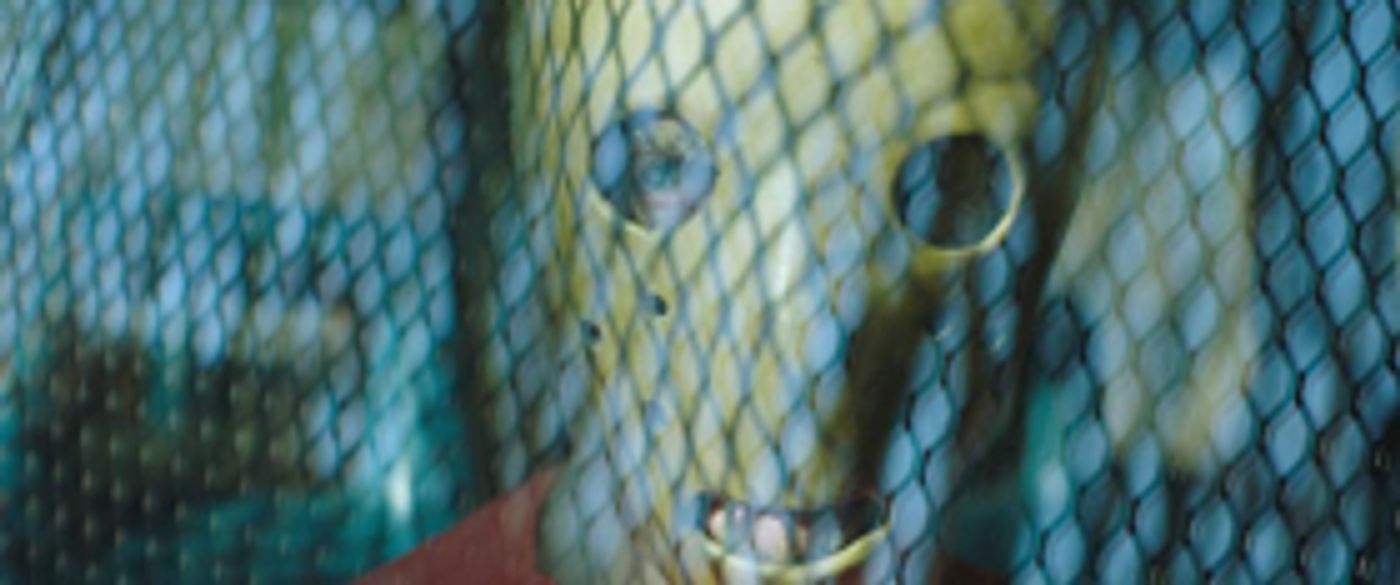 Samuel Goldwyn Films Acquires North American Rights to PLAY OR DIE Samuel Goldwyn Films Acquires North American Rights to PLAY OR DIE Image