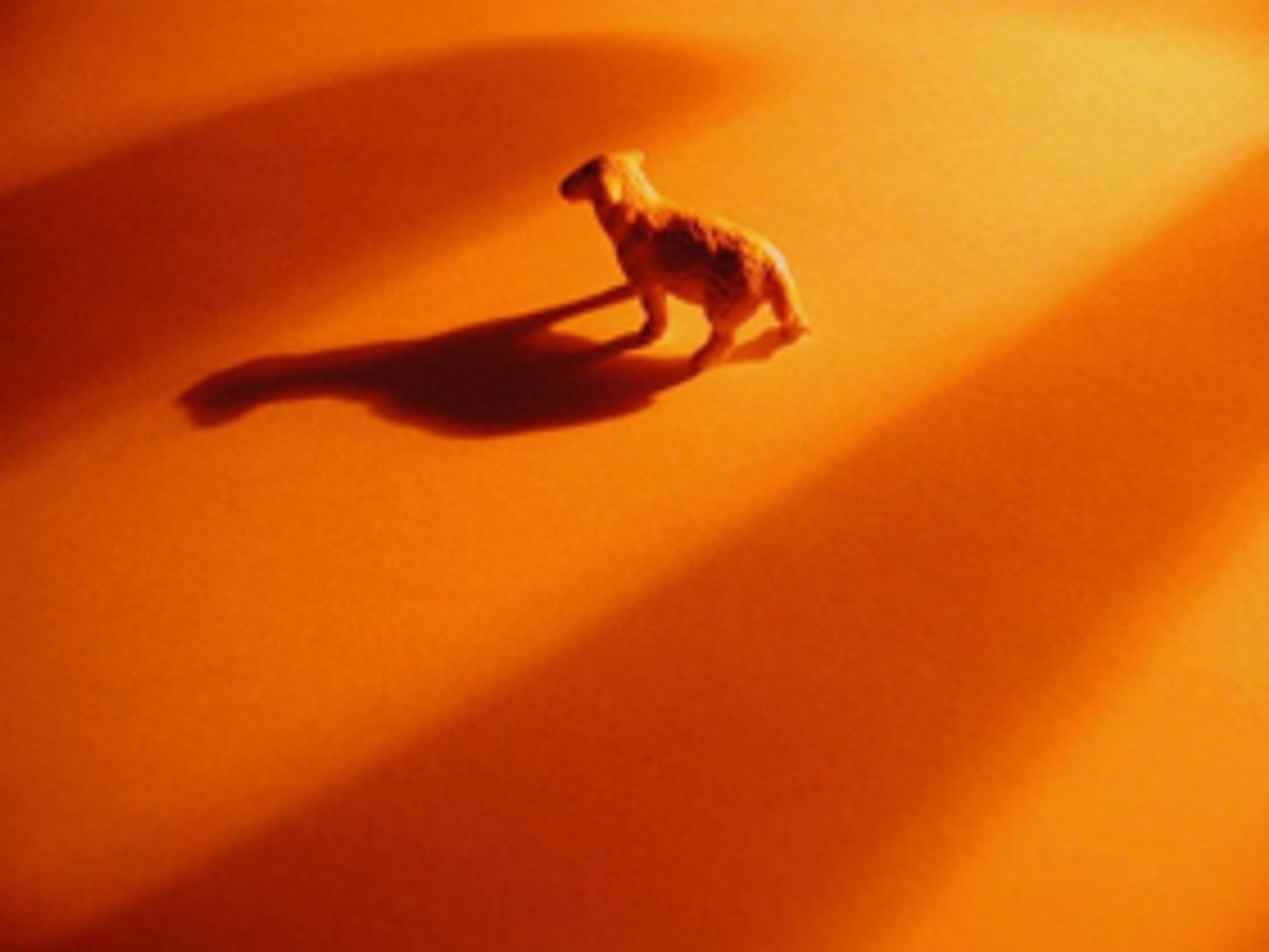 United States Premiere of Sachiyo Takahashi's SHEEP #1 to Play The Tank  Image