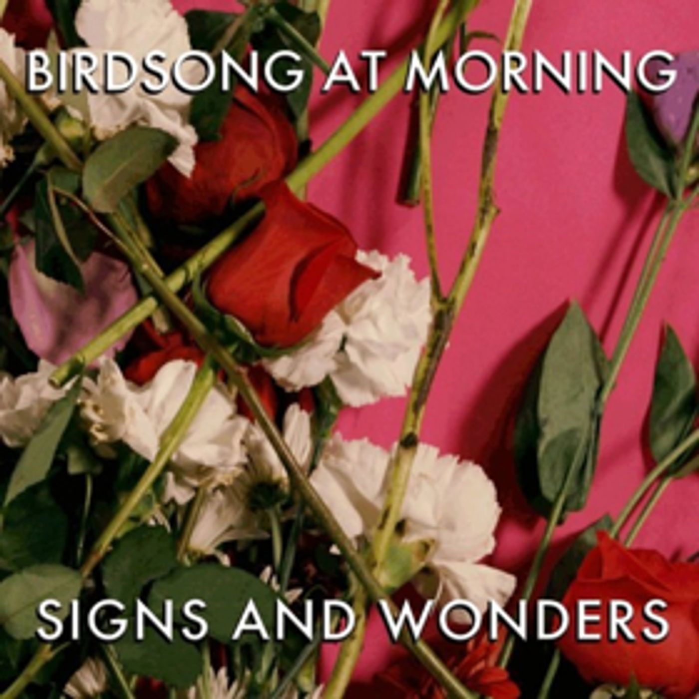 Birdsong At Morning Spins Elegant Tapestries of Sound, Words, and Music on New Album SIGNS AND WONDERS  Image