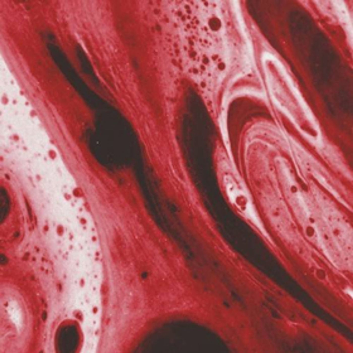 Cali-Based Indie Alt-Pop Duo Slenderbodies Share New Single THE ONE Cali-Based Indie Alt-Pop Duo Slenderbodies Share New Single THE ONE Image