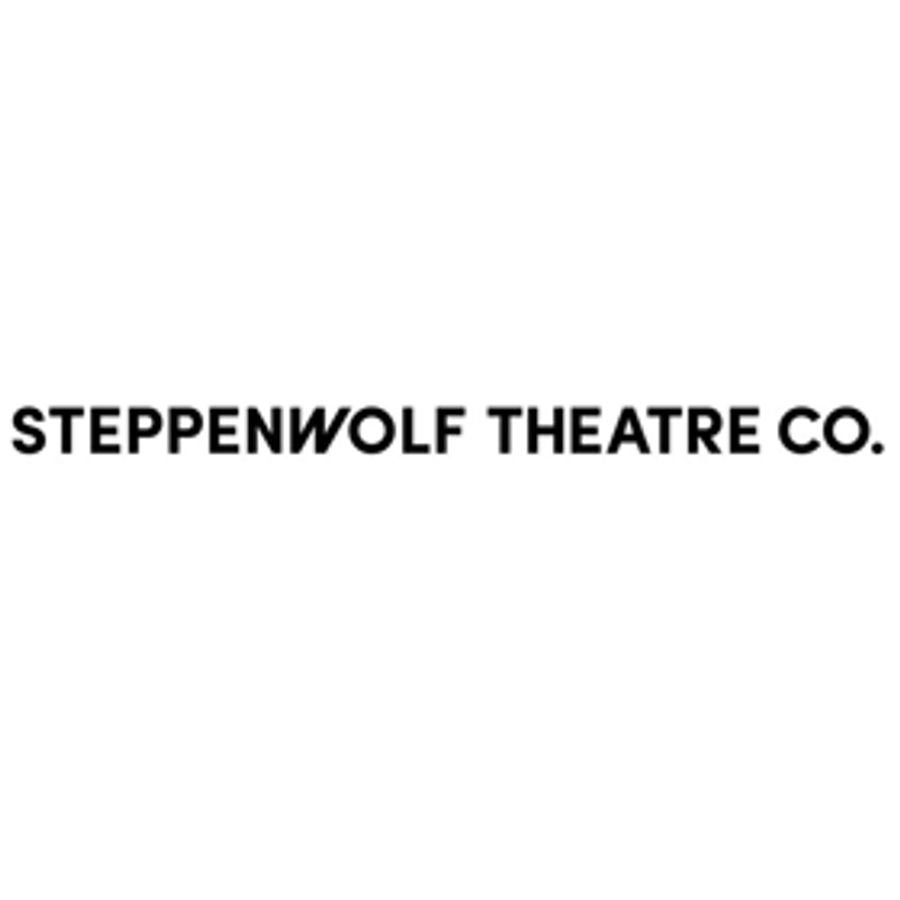 Steppenwolf's Professional Leadership Fellows Present CRAFTING A COHORT Image
