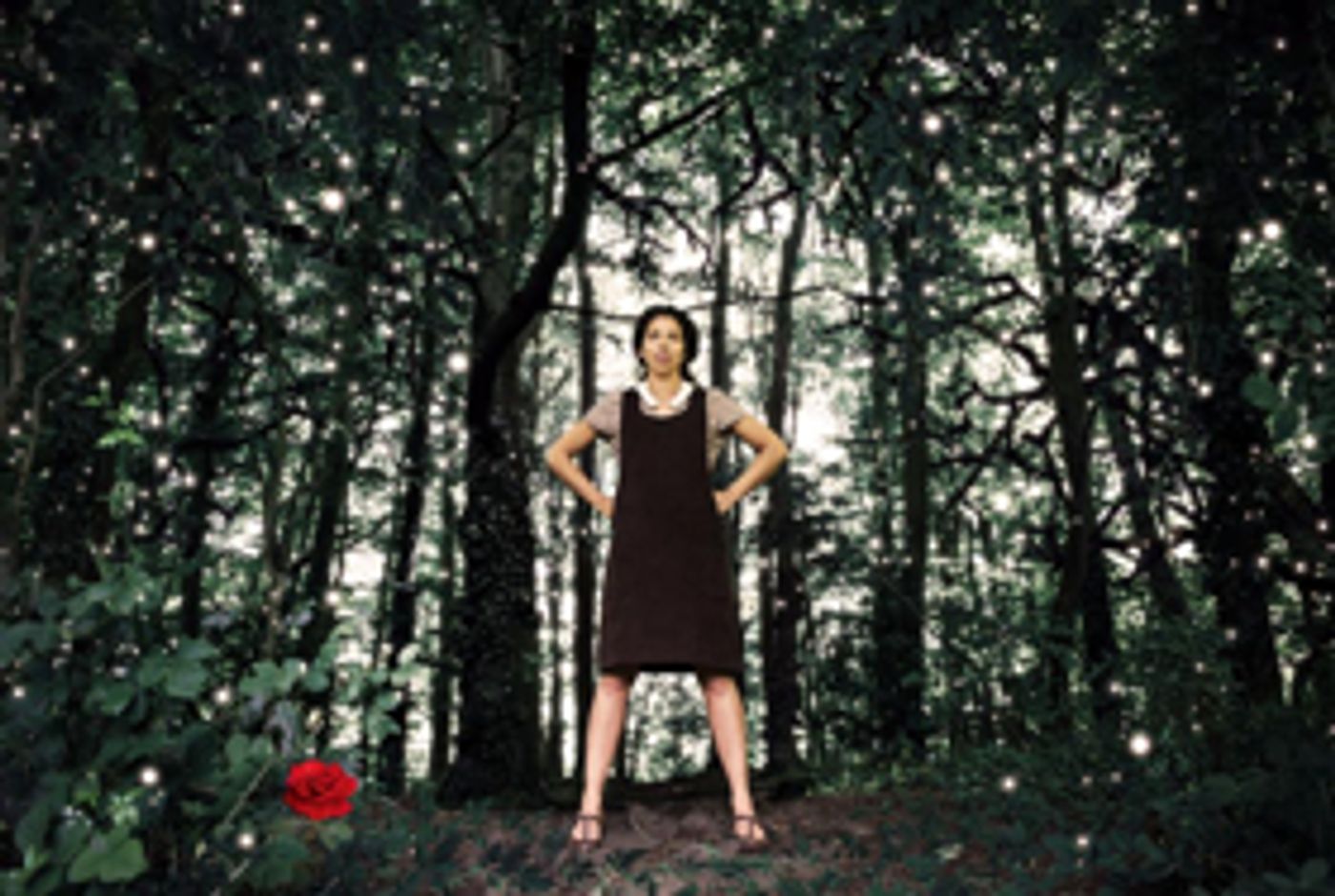 BEAUTY AND THE BEAST, THE UGLY DUCKLING and More Slated for Christmas 2017 at Tobacco Factory Theatres  Image