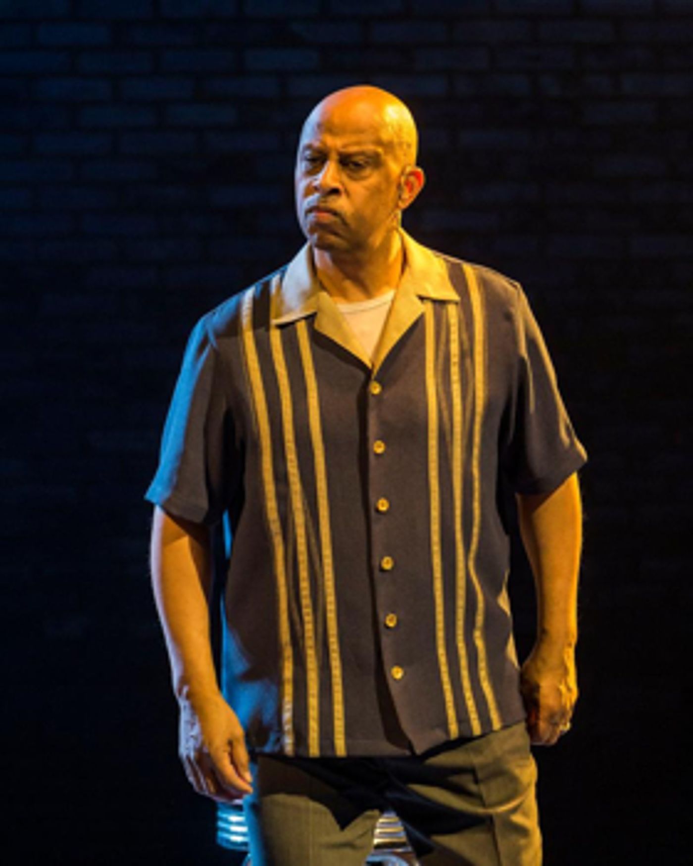 Review: In LACKAWANNA BLUES, Ruben Santiago-Hudson Pays Tribute to the Incredible Woman Who Lovingly Raised Him  Image