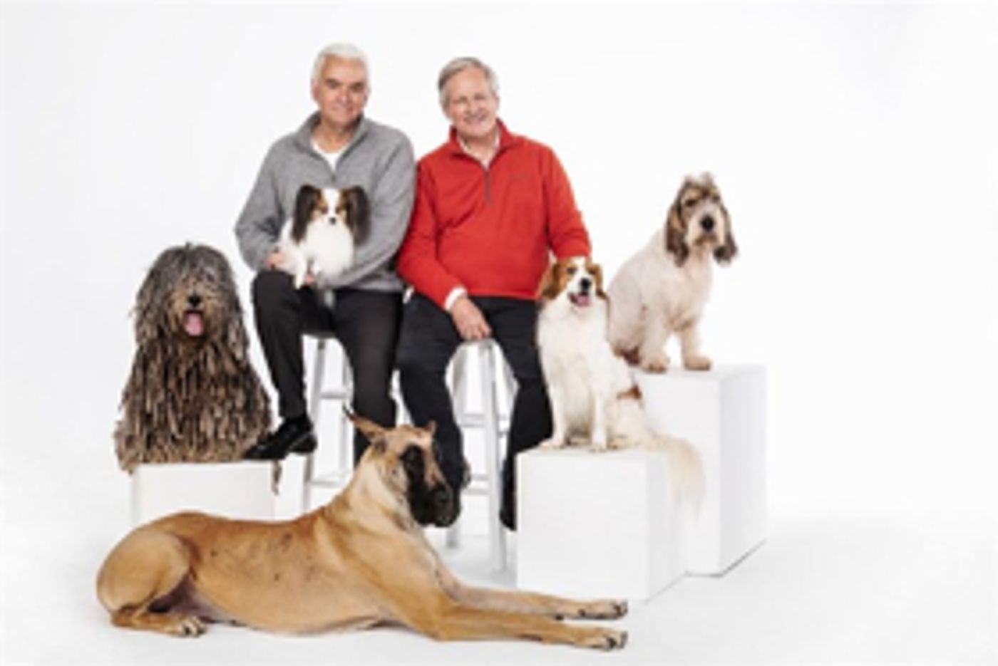 NBC to Broadcast NATIONAL DOG SHOW PRESENTED BY PURINA on Thanksgiving  Image